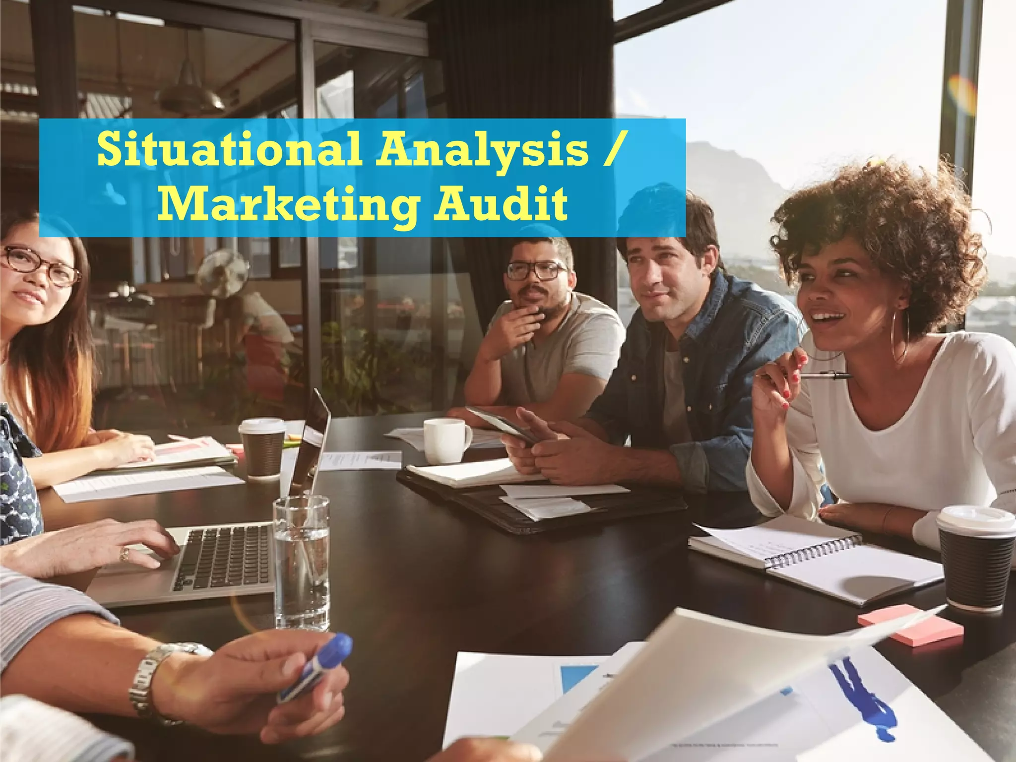 Situational Analysis /
Marketing Audit
 