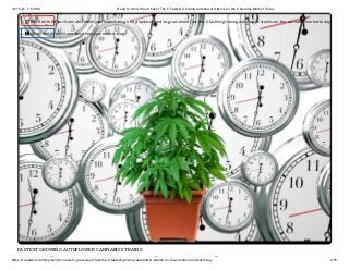 10/15/21, 7:54 PM Need to Grow Weed Fast? The 6 Fastest Growing Autoflower Strains on the Cannabis Market Today
https://cannabis.net/blog/opinion/need-to-grow-weed-fast-the-6-fastest-growing-autoflower-strains-on-the-cannabis-market-today 2/15
FASTEST GROWING AUTOFLOWER CANNABIS STRAINS
d d h
 Edit Article (https://cannabis.net/mycannabis/c-blog-entry/update/need-to-grow-weed-fast-the-6-fastest-growing-autoflower-strains-on-the-cannabis-market-today)
 Article List (https://cannabis.net/mycannabis/c-blog)
 