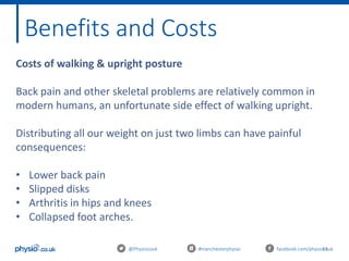 11@Physiocouk #manchesterphysio facebook.com/physiocouk
Costs of walking & upright posture
Back pain and other skeletal problems are relatively common in
modern humans, an unfortunate side effect of walking upright.
Distributing all our weight on just two limbs can have painful
consequences:
• Lower back pain
• Slipped disks
• Arthritis in hips and knees
• Collapsed foot arches.
Benefits and Costs
 