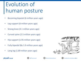 9@Physiocouk #manchesterphysio facebook.com/physiocouk
Evolution of
human posture
• Becoming bipedal (6 million years ago)
• Leg support (6 million years ago)
• Strong knee (4.1 million years ago)
• Curved spine (2.5 million years ago)
• Hip support (1.95 million years ago)
• Fully bipedal (By 1.9 million years ago)
• Long leg (1.89 million years ago)
 