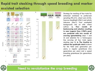 Need to revolutionize the crop breeding | PPT