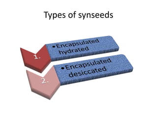 Types of synseeds
 