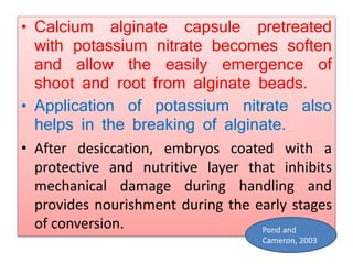 • Calcium alginate capsule pretreated
with potassium nitrate becomes soften
and allow the easily emergence of
shoot and root from alginate beads.
• Application of potassium nitrate also
helps in the breaking of alginate.
• After desiccation, embryos coated with a
protective and nutritive layer that inhibits
mechanical damage during handling and
provides nourishment during the early stages
of conversion. Pond and
Cameron, 2003
 
