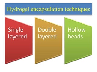 Hydrogel encapsulation techniques
Single
layered
Double
layered
Hollow
beads
 