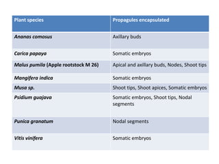 Plant species Propagules encapsulated
Ananas comosus Axillary buds
Carica papaya Somatic embryos
Malus pumila (Apple rootstock M 26) Apical and axillary buds, Nodes, Shoot tips
Mangifera indica Somatic embryos
Musa sp. Shoot tips, Shoot apices, Somatic embryos
Psidium guajava Somatic embryos, Shoot tips, Nodal
segments
Punica granatum Nodal segments
Vitis vinifera Somatic embryos
 