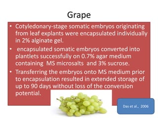 Grape
• Cotyledonary-stage somatic embryos originating
from leaf explants were encapsulated individually
in 2% alginate gel.
• encapsulated somatic embryos converted into
plantlets successfully on 0.7% agar medium
containing MS microsalts and 3% sucrose.
• Transferring the embryos onto MS medium prior
to encapsulation resulted in extended storage of
up to 90 days without loss of the conversion
potential.
Das et al., 2006
 