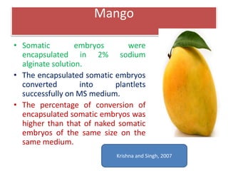 Mango
• Somatic embryos were
encapsulated in 2% sodium
alginate solution.
• The encapsulated somatic embryos
converted into plantlets
successfully on MS medium.
• The percentage of conversion of
encapsulated somatic embryos was
higher than that of naked somatic
embryos of the same size on the
same medium.
Krishna and Singh, 2007
 