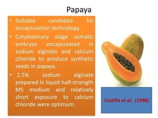 Papaya
• Suitable candidate for
encapsulation technology.
• Cotyledonary stage somatic
embryos encapsulated in
sodium alginate and calcium
chloride to produce synthetic
seeds in papaya.
• 2.5% sodium alginate
prepared in liquid half-strength
MS medium and relatively
short exposure to calcium
chloride were optimum.
Castillo et al. (1998)
 