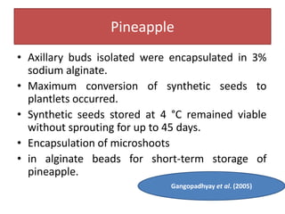 Pineapple
• Axillary buds isolated were encapsulated in 3%
sodium alginate.
• Maximum conversion of synthetic seeds to
plantlets occurred.
• Synthetic seeds stored at 4 °C remained viable
without sprouting for up to 45 days.
• Encapsulation of microshoots
• in alginate beads for short-term storage of
pineapple.
Gangopadhyay et al. (2005)
 