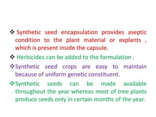  Synthetic seed encapsulation provides aseptic
condition to the plant material or explants ,
which is present inside the capsule.
 Herbicides can be added to the formulation .
Synthetic seed crops are easy to maintain
because of uniform genetic constituent.
Synthetic seeds can be made available
throughout the year whereas most of tree plants
produce seeds only in certain months of the year.
 