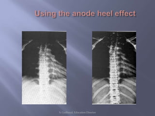 S. Guilbaud, Education Director
 