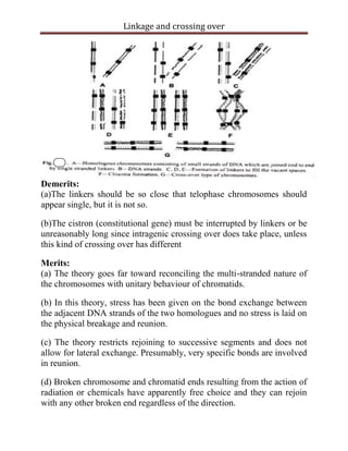 linkage and crossing over | PDF