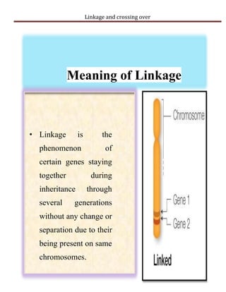 linkage and crossing over | PDF