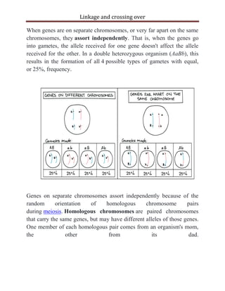 linkage and crossing over | PDF