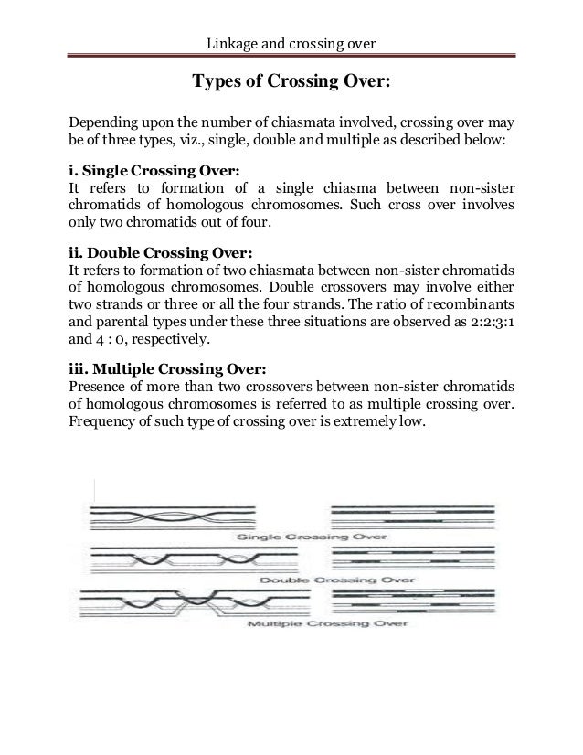 Linkage And Crossing Over