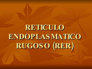 RETICULO ENDOPLASMATICO RUGOSO (RER) 