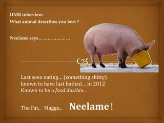 IIMB interview:
What animal describes you best ?
Neelame says…………………
Last seen eating… (something shitty)
known to have last bathed… in 2012
Known to be a food dustbin..
The Fat.. Maggu.. Neelame!
 