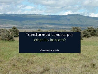 Transformed Landscapes
What lies beneath?
Constance Neely
 