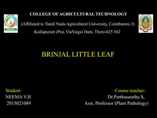 COLLEGE OF AGRICULTURAL TECHNOLOGY
(Affiliated to Tamil Nadu Agricultural University, Coimbatore-3)
Kullapuram (Po), ViaVaigai Dam, Theni-625 562
BRINJAL LITTLE LEAF
Student: Course teacher:
NEEMA V.H Dr.Parthasarathy.S,
2015021089 Asst. Professor (Plant Pathology)
 