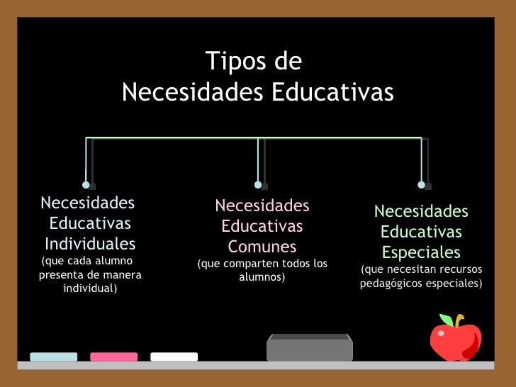 Necesidades Educativas Especiales Necesidades Educativas Especiales
