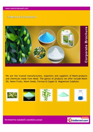 We are the trusted manufacturers, exporters and suppliers of Neem products
and chemicals made from Need. The gamut of products we offer include Neem
Oil, Neem Fruits, Neem Seeds, Ferrous & Copper & Magnesium Sulphate.
 