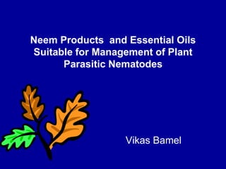 Neem Products and Essential Oils
Suitable for Management of Plant
Parasitic Nematodes
Vikas Bamel
 