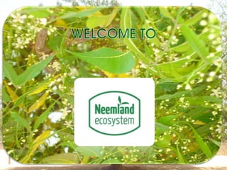 Neemland ecosystem