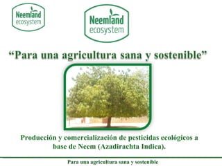Para una agricultura sana y sostenible Producción y comercialización de pesticidas ecológicos a base de Neem (Azadirachta Indica). 