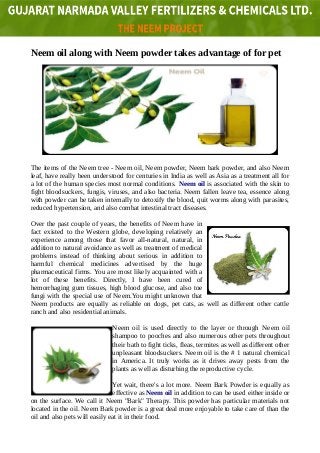 Neem oil along with Neem powder takes advantage of for pet
The items of the Neem tree - Neem oil, Neem powder, Neem bark powder, and also Neem
leaf, have really been understood for centuries in India as well as Asia as a treatment all for
a lot of the human species most normal conditions. Neem oil is associated with the skin to
fight bloodsuckers, fungis, viruses, and also bacteria. Neem fallen leave tea, essence along
with powder can be taken internally to detoxify the blood, quit worms along with parasites,
reduced hypertension, and also combat intestinal tract diseases.
Over the past couple of years, the benefits of Neem have in
fact existed to the Western globe, developing relatively an
experience among those that favor all-natural, natural, in
addition to natural avoidance as well as treatment of medical
problems instead of thinking about serious in addition to
harmful chemical medicines advertised by the huge
pharmaceutical firms. You are most likely acquainted with a
lot of these benefits. Directly, I have been cured of
hemorrhaging gum tissues, high blood glucose, and also toe
fungi with the special use of Neem.You might unknown that
Neem products are equally as reliable on dogs, pet cats, as well as different other cattle
ranch and also residential animals.
Neem oil is used directly to the layer or through Neem oil
shampoo to pooches and also numerous other pets throughout
their bath to fight ticks, fleas, termites as well as different other
unpleasant bloodsuckers. Neem oil is the # 1 natural chemical
in America. It truly works as it drives away pests from the
plants as well as disturbing the reproductive cycle.
Yet wait, there's a lot more. Neem Bark Powder is equally as
effective as Neem oil in addition to can be used either inside or
on the surface. We call it Neem "Bark" Therapy. This powder has particular materials not
located in the oil. Neem Bark powder is a great deal more enjoyable to take care of than the
oil and also pets will easily eat it in their food.
 