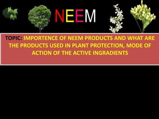 NEEM
TOPIC: IMPORTENCE OF NEEM PRODUCTS AND WHAT ARE
THE PRODUCTS USED IN PLANT PROTECTION, MODE OF
ACTION OF THE ACTIVE INGRADIENTS
 