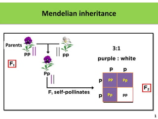 Mendelian inheritance
Parents
1
PP
pp
Pp
Pp
3:1
 