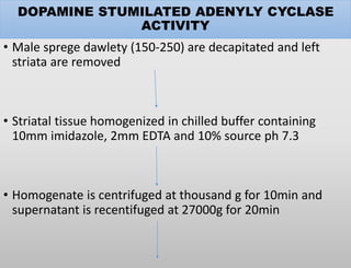 DOPAMINE STUMILATED ADENYLY CYCLASE
ACTIVITY
• Male sprege dawlety (150-250) are decapitated and left
striata are removed
• Striatal tissue homogenized in chilled buffer containing
10mm imidazole, 2mm EDTA and 10% source ph 7.3
• Homogenate is centrifuged at thousand g for 10min and
supernatant is recentifuged at 27000g for 20min
 