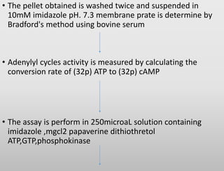 Screening Methods of Parkinson's Disease | PPTX
