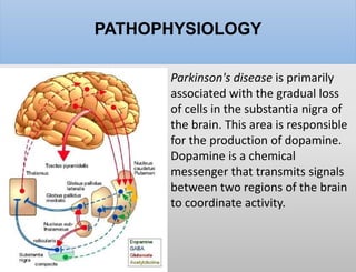 PATHOPHYSIOLOGY
Parkinson's disease is primarily
associated with the gradual loss
of cells in the substantia nigra of
the brain. This area is responsible
for the production of dopamine.
Dopamine is a chemical
messenger that transmits signals
between two regions of the brain
to coordinate activity.
 