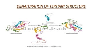 DENATURATION OF TERTIARY STRUCTURE
 