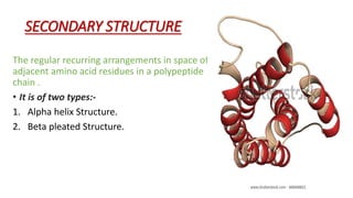 SECONDARY STRUCTURE
The regular recurring arrangements in space of
adjacent amino acid residues in a polypeptide
chain .
• It is of two types:-
1. Alpha helix Structure.
2. Beta pleated Structure.
 