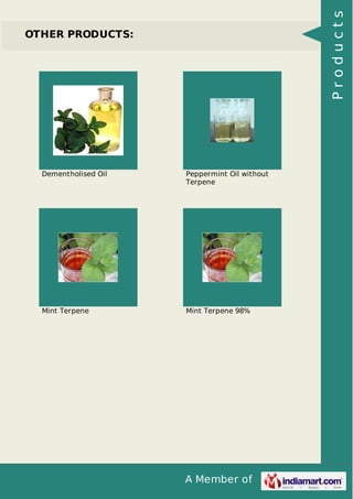 A Member of 
OTHER PRODUCTS: 
Dementholised Oil Peppermint Oil without 
Terpene 
Mint Terpene Mint Terpene 98% 
P r o d u c t s 
 