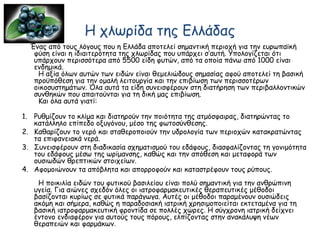 Η χλωρίδα της Ελλάδας
Ένας από τους λόγους που η Ελλάδα αποτελεί σημαντική περιοχή για την ευρωπαϊκή
φύση είναι η ιδιαιτερότητα της χλωρίδας που υπάρχει σ’αυτή. Υπολογίζεται ότι
υπάρχουν περισσότερα από 5500 είδη φυτών, από τα οποία πάνω από 1000 είναι
ενδημικά.
Η αξία όλων αυτών των ειδών είναι θεμελιώδους σημασίας αφού αποτελεί τη βασική
προϋπόθεση για την ομαλή λειτουργία και την επιβίωση των περισσοτέρων
οικοσυστημάτων. Όλα αυτά τα είδη συνεισφέρουν στη διατήρηση των περιβαλλοντικών
συνθηκών που απαιτούνται για τη δική μας επιβίωση.
Και όλα αυτά γιατί:
1. Ρυθμίζουν το κλίμα και διατηρούν την ποιότητα της ατμόσφαιρας, διατηρώντας το
κατάλληλο επίπεδο οξυγόνου, μέσο της φωτοσύνθεσης.
2. Καθαρίζουν το νερό και σταθεροποιούν την υδρολογία των περιοχών κατακρατώντας
τα επιφανειακά νερά.
3. Συνεισφέρουν στη διαδικασία σχηματισμού του εδάφους, διασφαλίζοντας τη γονιμότητα
του εδάφους μέσω της ωρίμανσης, καθώς και την απόθεση και μεταφορά των
ουσιωδών θρεπτικών στοιχείων.
4. Αφομοιώνουν τα απόβλητα και απορροφούν και καταστρέφουν τους ρύπους.
Η ποικιλία ειδών του φυτικού βασιλείου είναι πολύ σημαντική για την ανθρώπινη
υγεία. Για αιώνες σχεδόν όλες οι ιατροφαρμακευτικές θεραπευτικές μέθοδοι
βασίζονται κυρίως σε φυτικά παράγωγα. Αυτές οι μέθοδοι παραμένουν ουσιώδεις
ακόμη και σήμερα, καθώς η παραδοσιακή ιατρική χρησιμοποιείται εκτεταμένα για τη
βασική ιατροφαρμακευτική φροντίδα σε πολλές χώρες. Η σύγχρονη ιατρική δείχνει
έντονο ενδιαφέρον για αυτούς τους πόρους, ελπίζοντας στην ανακάλυψη νέων
θεραπειών και φαρμάκων.
 