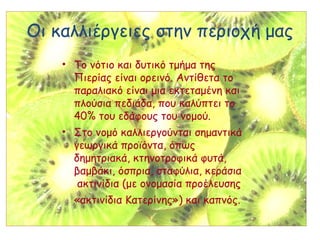 Οι καλλιέργειες στην περιοχή μας
• Το νότιο και δυτικό τμήμα της
Πιερίας είναι ορεινό. Αντίθετα το
παραλιακό είναι μια εκτεταμένη και
πλούσια πεδιάδα, που καλύπτει το
40% του εδάφους του νομού.
• Στο νομό καλλιεργούνται σημαντικά
γεωργικά προϊόντα, όπως
δημητριακά, κτηνοτροφικά φυτά,
βαμβάκι, όσπρια, σταφύλια, κεράσια
ακτινίδια (με ονομασία προέλευσης
«ακτινίδια Κατερίνης») και καπνός.
 