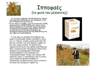 Ιπποφαές
(το φυτό του μέλλοντος)
Σε εντελώς εμβρυακό επίπεδο βρίσκεται σήμερα
στη χώρα μας η καλλιέργεια του ιπποφαούς, ενός
από τα αρχαιότερα φυτά στη γη.
Για του λόγου το αληθές, αυτή τη στιγμή στην Ξάνθη
καλλιεργούνται 3.000-4.000 φυτά, ενώ σε λίγες
ημέρες αναμένεται να ξεκινήσει η φύτευση φυτών
σε περίπου 60 στρέμματα στην Κοζάνη, από τον
νεοσύσταστο Συνεταιρισμό Ιπποφαούς και
Δυναμικών Καλλιεργειών Δυτικής Μακεδονίας που
έχει έδρα την Αιανή Κοζάνης.
Τι είναι όμως το ιπποφαές; Είναι θάμνος που
μπορεί να αναπτυχθεί σχεδόν οπουδήποτε, όπως
λέει ο κ. Γάτσιος, γνωρίζει μεγάλη ανάπτυξη στην
Κίνα και τη Ρωσία, ενώ στην Ευρώπη η χρήση του
δεν είναι ευρέως γνωστή. Τα προϊόντα που
παράγονται από αυτόν είναι υψηλής προστιθέμενης
αξίας, περιζήτητα από τη βιομηχανία καλλυντικών,
τροφίμων και συμπληρωμάτων διατροφής.
Συμπεριλαμβάνεται στην κατηγορία των
«υπερτροφών»(super foods), ενώ περιέχει 190
πολύτιμες ουσίες, οι περισσότερες από τις οποίες
έχουν ισχυρή αντιοξειδωτική δράση. Oι
περισσότερες και δραστικότερες έχουν εντοπιστεί
στο έλαιο που περιέχουν οι καρποί του.
 