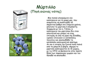 Μύρτιλλο
(Πηγή αιώνιας νιότης)
Μια πολλά υποσχόμενη νέα
καλλιέργεια για τη χώρα μας, που
αναμένεται να αναπτυχθεί σε
σημαντικό βαθμό στα επόμενα χρόνια,
αποτελεί το μύρτιλλο ή blueberry.
Σύμφωνα με τον κ. Γάτσιο, η
καλλιέργεια του μύρτιλλου δεν είναι
απαιτητική και μπορεί να είναι
επιτυχής σε όλα τα μέρη της Ελλάδας,
εφόσον επιλεγούν οι κατάλληλες
ποικιλίες και ακολουθηθεί το
κατάλληλο καλλιεργητικό σύστημα.
Αν και η ιστορία του ξεκινά πολύ παλιά
από τη μακρινή Σιβηρία, σήμερα το
μύρτιλλο καλλιεργείται σε 16 χώρες,
με τις ΗΠΑ να βρίσκονται στην πρώτη
θέση των παραγωγών χωρών και τον
Καναδά να ακολουθεί.
 