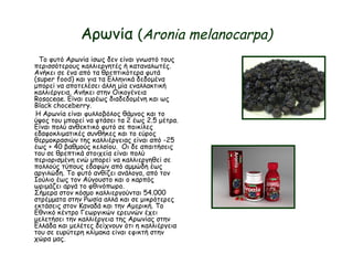 Αρωνία (Aronia melanocarpa)
Το φυτό Αρωνία ίσως δεν είναι γνωστό τους
περισσότερους καλλιεργητές ή καταναλωτές.
Ανήκει σε ένα από τα θρεπτικότερα φυτά
(super food) και για τα Ελληνικά δεδομένα
μπορεί να αποτελέσει άλλη μία εναλλακτική
καλλιέργεια. Ανήκει στην Οικογένεια
Rosaceae. Είναι ευρέως διαδεδομένη και ως
Black choceberry. 
Η Αρωνία είναι φυλλοβόλος θάμνος και το
ύψος του μπορεί να φτάσει τα 2 έως 2.5 μέτρα.
Είναι πολύ ανθεκτικό φυτό σε ποικίλες
εδαφοκλιματικές συνθήκες και το εύρος
θερμοκρασιών της καλλιέργειας είναι από -25
έως + 40 βαθμούς κελσίου. Οι δε απαιτήσεις
του σε θρεπτικά στοιχεία είναι πολύ
περιορισμένη ενώ μπορεί να καλλιεργηθεί σε
πολλούς τύπους εδαφών από αμμώδη έως
αργιλώδη. Το φυτό ανθίζει ανάλογα, από τον
Ιούλιο έως τον Αύγουστο και ο καρπός
ωριμάζει αργά το φθινόπωρο.
Σήμερα στον κόσμο καλλιεργούνται 54.000
στρέμματα στην Ρωσία αλλά και σε μικρότερες
εκτάσεις στον Καναδά και την Αμερική. Το
Εθνικό κέντρο Γεωργικών ερευνών έχει
μελετήσει την καλλιέργεια της Αρωνίας στην
Ελλάδα και μελέτες δείχνουν ότι η καλλιέργεια
του σε ευρύτερη κλίμακα είναι εφικτή στην
χώρα μας.
 