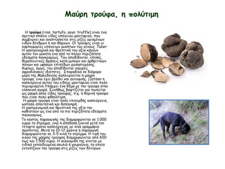 Μαύρη τρούφα, η πολύτιμη
Η τρούφα (ιταλ. tartufo, αγγλ. truffle) είναι ένα
σχετικά σπάνιο είδος υπόγειου μανιταριού, που
συμβιώνει και αναπτύσσεται στις ρίζες ορισμένων
ειδών δένδρων ή και θάμνων. Οι τρούφες είναι οι
καρποφορίες υπόγειων μυκήτων του γένους Tuber
H γαστρονομική και θρεπτική του αξία κάνουν
αυτόν τον μύκητα ένα από τα πλέον περιζήτητα
εδέσματα παγκοσμίως. Του αποδίδονται, επίσης,
θεραπευτικές δράσεις κατά μυϊκών και αρθριτικών
πόνων και υψηλών επιπέδων χοληστερόλης.
Κυρίως, όμως, του αποδίδονται ισχυρές
αφροδισιακές ιδιότητες. Σποραδικά σε διάφορα
μέρη της Μακεδονίας καλλιεργείται η μαύρη
τρούφα, ενώ έχει βρεθεί και αυτοφυής. Ωστόσο η
καλλιέργεια αυτού του είδους μανιταριού είναι πολύ
περιορισμένη Υπάρχει ένα θέμα με την τρούφα στην
ελληνική αγορά. Συνήθως βαφτίζεται και πωλείται
ως μαύρη άλλο είδος τρούφας, π.χ. η θερινή τρούφα
που είναι πολύ φθηνότερη.
Η μαύρη τρούφα είναι πολύ επικερδής καλλιέργεια,
ωστόσο απαιτητική και δαπανηρή.
Η γαστρονομική και θρεπτική της αξία την
καθιστούν ως ένα από τα πιο περιζήτητα εδέσματα
παγκοσμίως.
Το κόστος παραγωγής της διαμορφώνεται σε 1.000
ευρώ το στρέμμα, ενώ η απόδοση ξεκινά μετά τον
τέταρτο χρόνο καλλιέργειας με λίγα γραμμάρια
προϊόντος. Μετά τα 10-12 χρόνια η παραγωγή
διαμορφώνεται σε 3-5 κιλά το στρέμμα. Η τιμή του
κιλού της μαύρης τρούφας διαμορφώνεται από 600
έως και 1.500 ευρώ. Η συγκομιδή της γίνεται με
ειδικά εκπαιδευμένα σκυλιά ή γουρούνια, τα οποία
εντοπίζουν την τρούφα στις ρίζες των δέντρων.
 