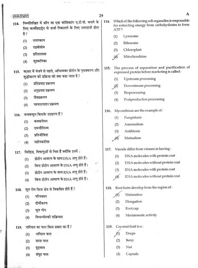 Neet 2017QuestionPaperCodeA
