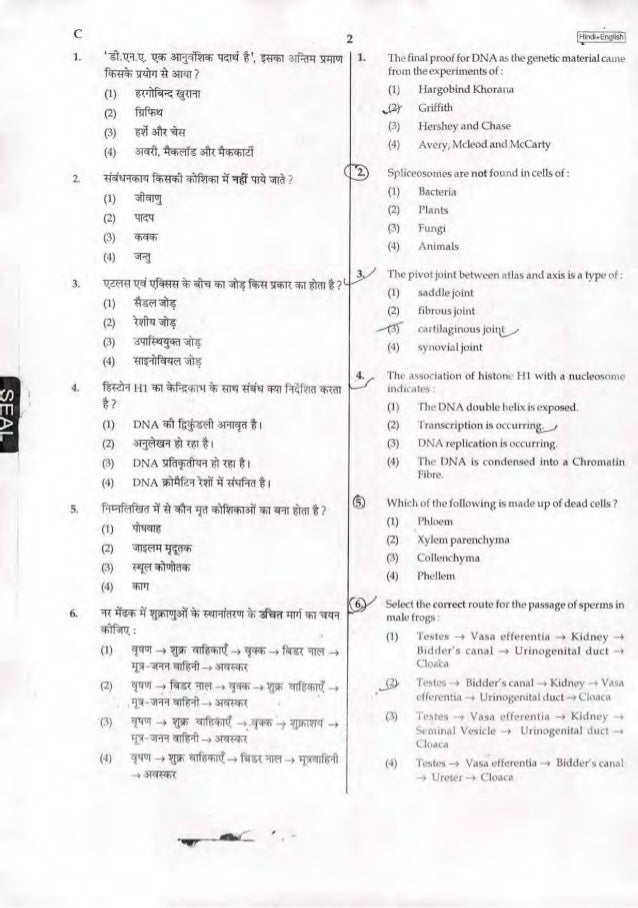 daily routine essay for interview