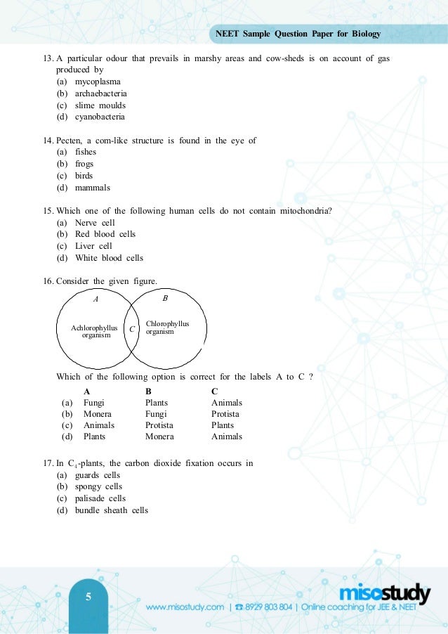 Amazing Neet Biology Questions Landscape in HD Amazing Neet Biology Questions Landscape in HD