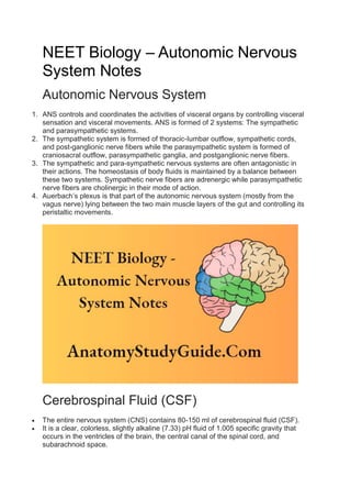 NEET Biology – Autonomic Nervous System Notes | DOCX
