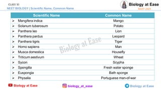 NEET BIOLOGY Scientific Names and Common Names-1.pdf