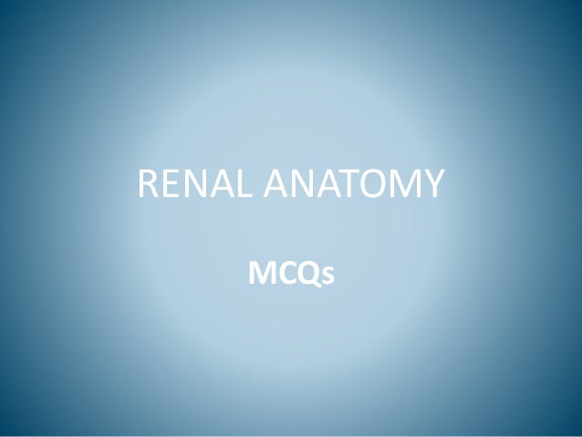 Neet Pg Mcq S Renal Anatomy