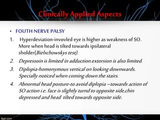 Clinically Applied Aspects
• FOUTH NERVEPALSY
1. Hyperdeviation-invovled eye is higher as weakness of SO.
More when head is tilted towards ipsilateral
sholder(Bielschowskystest).
2. Depressoinislimitedinadduction.extorsion isalsolimited.
3. Diplopia-homonymous vertical onlookingdownwards.
Specially noticedwhencomingdownthestairs.
4. Abnormal headposture-toavoiddiplopia –towards actionof
SOactioni.e.faceisslightly turndtooppositeside,chin
depressedandhead tiltedtowardsoppositeside.
 
